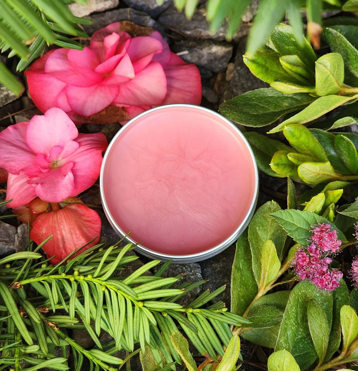 The Vittacore Miracle Balm™ Herbal Powerhouse